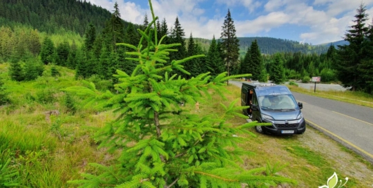 Cu autorulota pe Transalpina 3